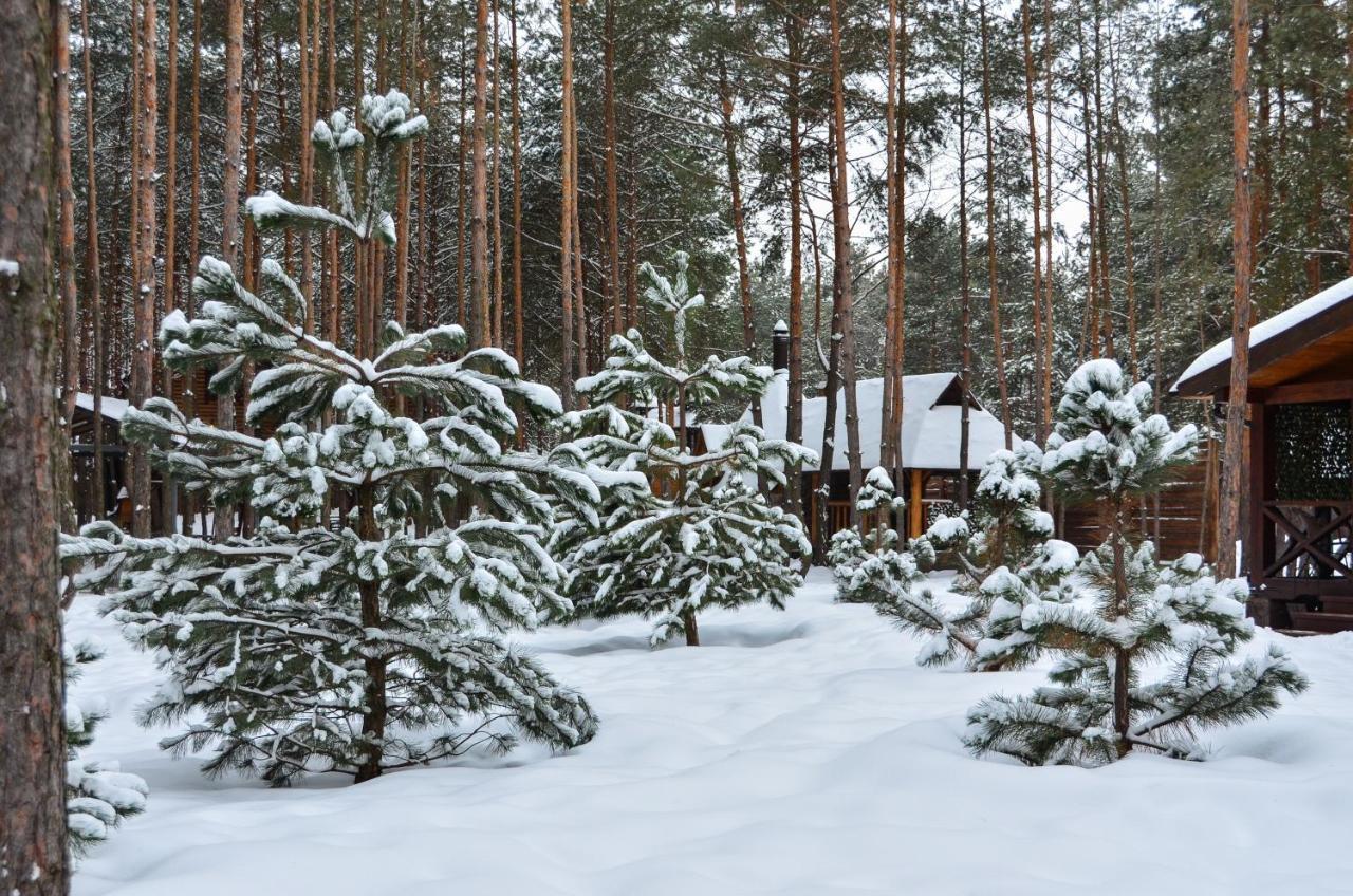 Sobi Hotel Vyshhorod Bagian luar foto